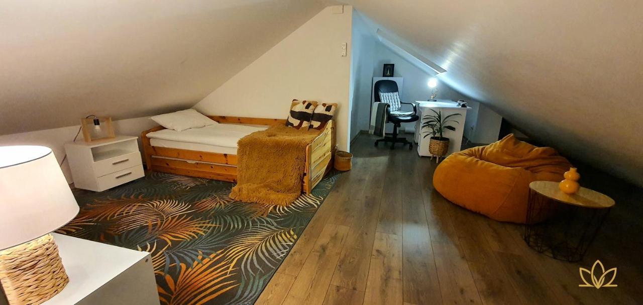 Hoobee Home & Rooftop Terrace Marosvásárhely Kültér fotó